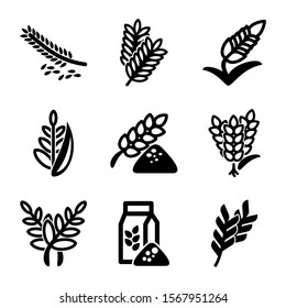 wheat icon isolated sign symbol vector illustration - Collection of high quality black style vector icons
