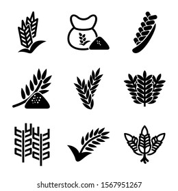 wheat icon isolated sign symbol vector illustration - Collection of high quality black style vector icons
