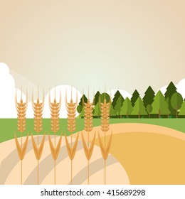 Wheat icon. landscape design. Agriculture concept
