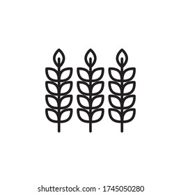 wheat icon outline design vector. isolated on white background