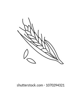 Wheat icon. Outline Wheat vector icon for web design isolated on white background