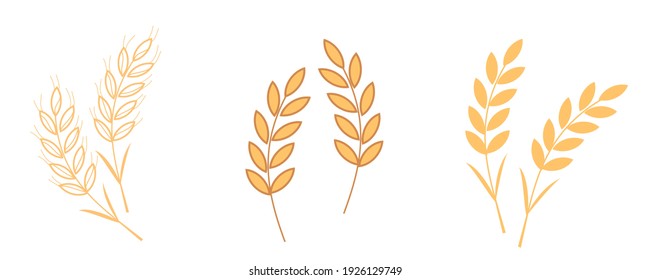 Icono de trigo establecido en la ilustración vectorial de fondo blanco.