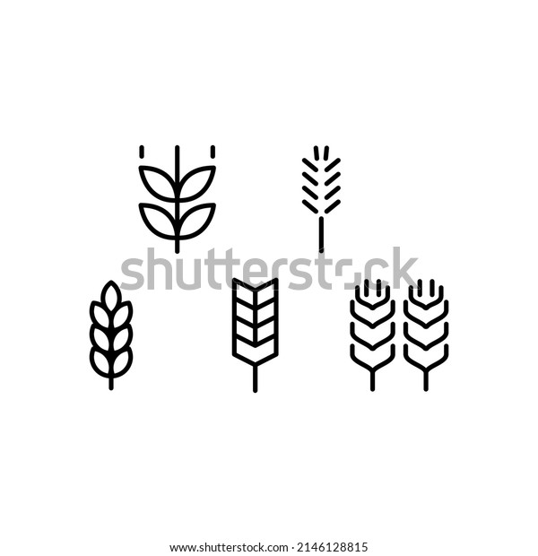 Wheat Icon Set\
Vector Symbol Design\
Illustration