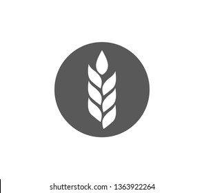 Wheat icon. Simple wheat isolated icon. 