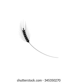 Wheat icon, Spica 
