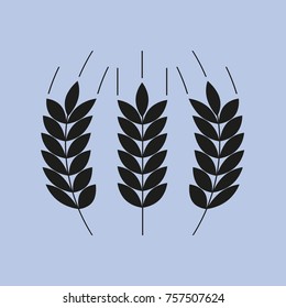 Wheat icon.  Spikes of rye contour symbol.