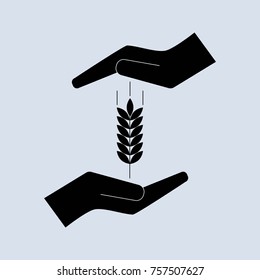 Wheat icon.  Spikes of rye contour symbol.