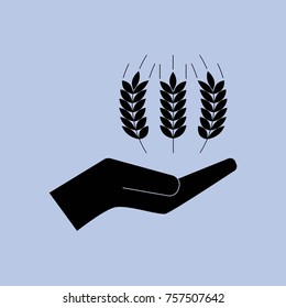 Wheat icon.  Spikes of rye contour symbol.