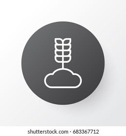 Wheat Icon Symbol. Premium Quality Isolated Cereal Element In Trendy Style.