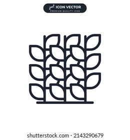 wheat icon symbol template for graphic and web design collection logo vector illustration