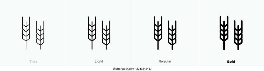 wheat icon. Thin, Light Regular And Bold style design isolated on white background