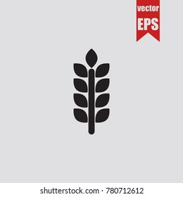 Wheat icon in trendy isolated on grey background.Vector illustration.
