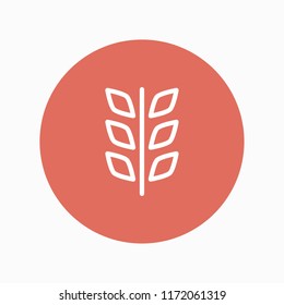 wheat icon vector