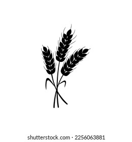 Wheat icon vector. Cereals illustration sign. Harvest symbol. Farm logo.