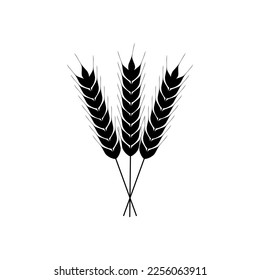 Vector de icono de trigo. Signo de ilustración de cereales. Símbolo de cosecha. Logo de la granja.