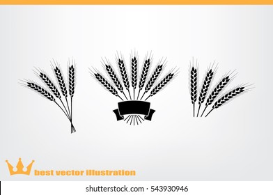 wheat icon vector illustration.