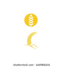 Wheat icon Vector Illustration design Logo template