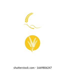 Icono de Trigo Modelo de diseño de ilustración de vectores