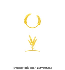 Wheat icon Vector Illustration design Logo template