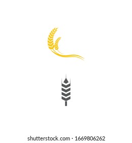 Wheat icon Vector Illustration design Logo template