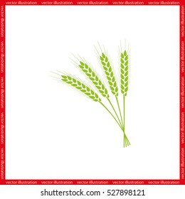 wheat icon vector illustration eps10.