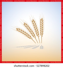 wheat icon vector illustration eps10.