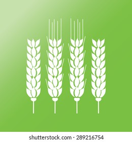 Wheat icon.   vector illustration. Isolated on green background.  long shadow icon. Elements in flat design.