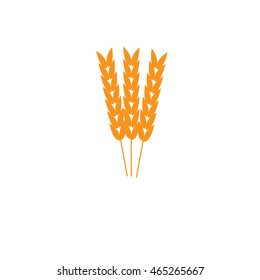 wheat icon - vector illustrator