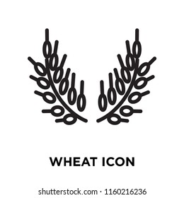 Wheat icon vector isolated on white background, Wheat transparent sign , linear symbol and stroke design elements in outline style