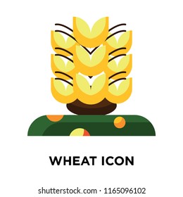 Wheat icon vector isolated on white background, Wheat transparent sign , colorful symbols