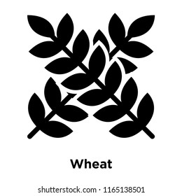 Wheat icon vector isolated on white background, Wheat transparent sign 