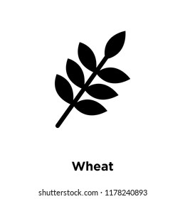 Wheat icon vector isolated on white background, logo concept of Wheat sign on transparent background, filled black symbol