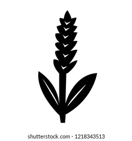 Wheat icon vector isolated on white background, logo concept of wheat sign on transparent background, filled black symbol