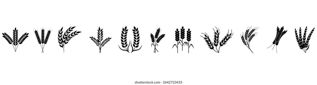 Ícone de trigo do conjunto de vetores. Coleção de sinais de ilustração de cereais. Símbolo de colheita. Logotipo do farm.