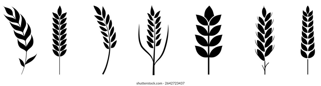 Ícone de trigo do conjunto de vetores. Coleção de sinais de ilustração de cereais. Símbolo de colheita. Logotipo do farm.