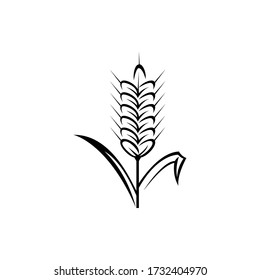 wheat icon. vector wheat symbol