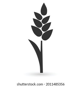Wheat icon. White background with shadow design. Vector illustration.