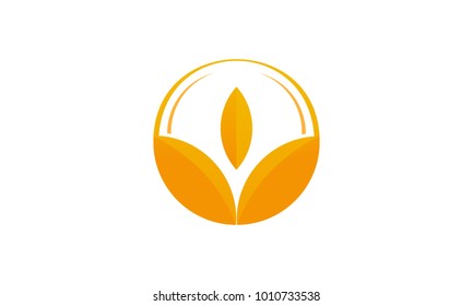 Wheat Iconic Logo designs template vector, Wheat Farm logo template