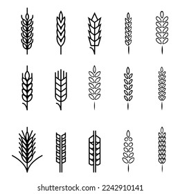 Wheat icons collection. Spikelets of wheat with various shapes, linear icon collection. 