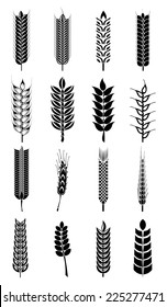 wheat icons set
