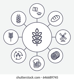Wheat icons set. set of 9 wheat outline icons such as wheat, harvest, hay, bread, mill, cereal