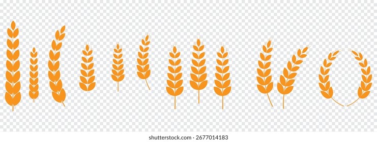 Ícones de trigo definidos. Grãos, espiguetas e grinalda. Trigo orgânico, panificação e alimentação natural, arroz isolado sobre fundo branco. Conjunto de ícones de orelhas de trigo. Logotipo do trigo. Os picos de grãos definem ícones. Ícone Granulado.