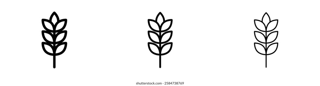 Wheat icons in three different stroke lines