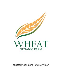 wheat illustration design vector. wheat organic logo vector