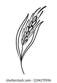 Wheat illustration isolated on white background