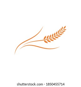 Wheat illustration logo vector design