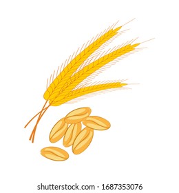 Wheat illustration on the white background. Vector illustration