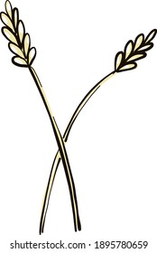 Wheat ,illustration, vector on white background
