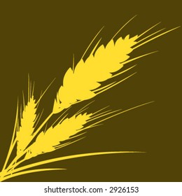 wheat isolated