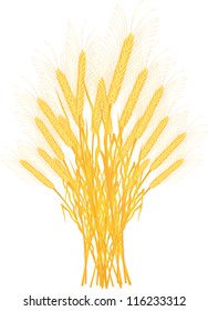 Wheat isolated on white background - vector